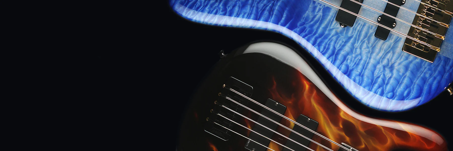 The Authority in Modern Bass