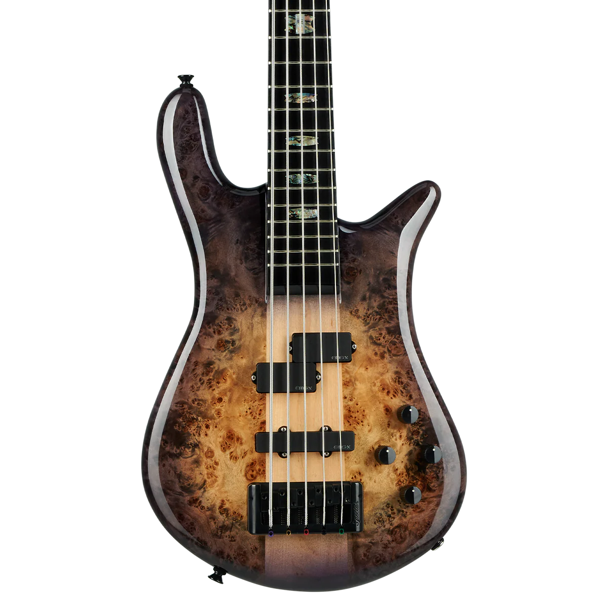 Euro CST 5 String - Image 4